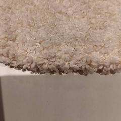 꼭 껴안고 싶은 장난감, iLost를 사용하여 De Efteling에 보고됨