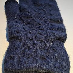 Guanto handscoe, come riportato da Madurodam utilizzando iLost