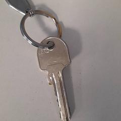 Sleutel Grijs, zoals gemeld door Dolfinarium met iLost