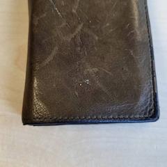 Brieftasche Lepik, gemeldet von Connexxion Haarlem IJmond über iLost