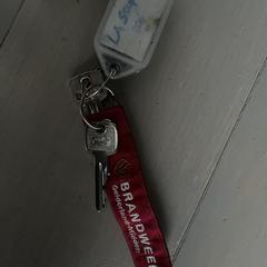 Sleutelbos, ha sido reportado a iLost