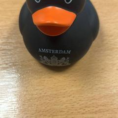 Toy, as reported by Sheraton Brussels Airport Hotel using iLost