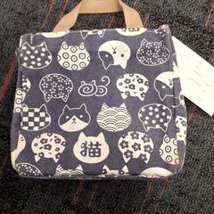 Poltsa, gisa salatu by Connexxion Amstelland-Meerlanden Schiphol Noord iLost erabiliz