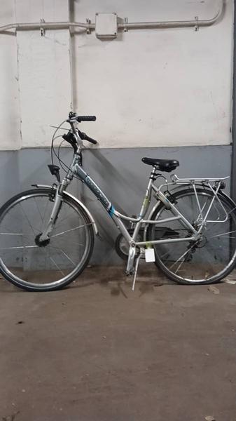 Damesfiets Thompson Grijs-Zilver
