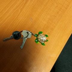 Sleutëls, amint azt Arriva Infoshop Enschede az iLost segítségével jelentette.