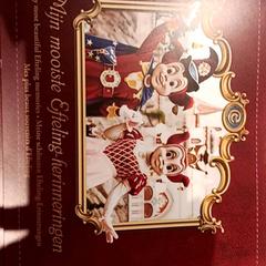 Attractiefoto symbolica, segons ha informat De Efteling mitjançant iLost