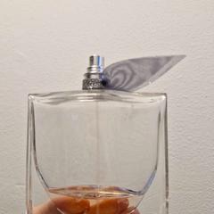 Perfum Parfum, segons ha informat Ramada by Wyndham Amsterdam Airport Schiphol mitjançant iLost