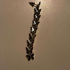 귀걸이, iLost를 사용하여 Room Mate Bruno에 보고됨