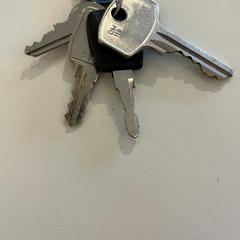 سلسلة المفاتيح، كما تم الإبلاغ عنه بواسطة Gemeente Noordwijk عبر iLost