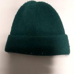 Muts, zoals gemeld door Regio West-Vlaanderen met iLost