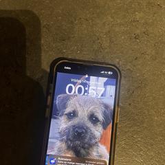 iPhone 16, iLost에 보고됨