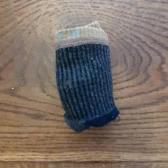 Socken Baby, gemeldet von DierenPark Amersfoort über iLost