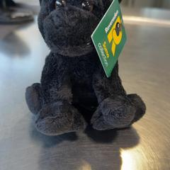 كنوفل Gorilla، كما تم الإبلاغ عنه بواسطة Burgers' Zoo عبر iLost