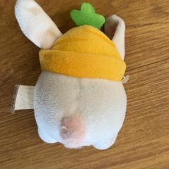 Kosete leke, som rapportert av GVB ved bruk av iLost