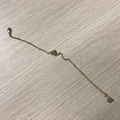 Pulseira, como reportado por Gemeente Arnhem utilizando o iLost