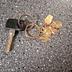 鍵 がiLostで Connexxion Amstelland-Meerlanden Amstelveen によって報告されました