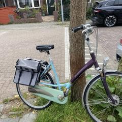 Damesfiets, iLost-i jakinarazi zaion moduan
