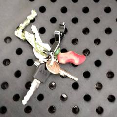 Klíčenka, jak nahlášeno Arriva Infoshop Enschede pomocí iLost