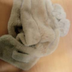 İLost kullanarak Regio Limburg - Leuven tarafından bildirildiği gibi Muts met oren