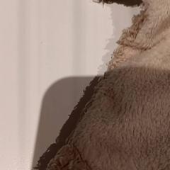 Knuffel, as reported by De Efteling using iLost