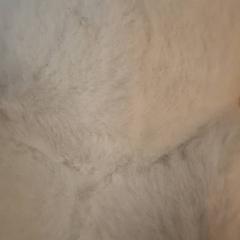 Kuscheltier Blanche, gemeldet von IKEA Paris Nord Roissy über iLost