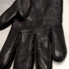 Shoe Zwart, as reported by Arriva Friesland / Groningen using iLost