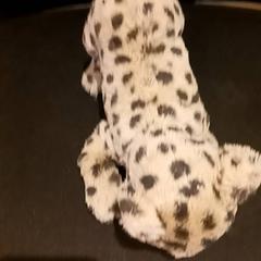 Kuscheltier, gemeldet von RRReis IJssel-Vecht über iLost