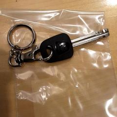 Sleutel Fietssleutel, zoals gemeld door LUMC met iLost