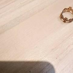 Prsten, jak nahlášeno Beekse Bergen Resorts en Hotel pomocí iLost