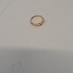 Jewelry & Ring, as reported by Transdev Gooi en Vechtstreek using iLost