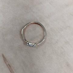 Ringa Goudkleurig, rapporterat av Arriva Vechtdallijnen med iLost