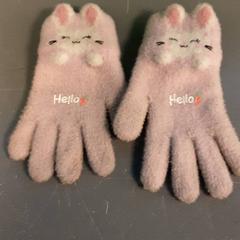 Rukavice, jak nahlášeno Diergaarde Blijdorp pomocí iLost