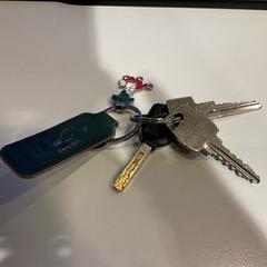 İLost kullanarak Gemeente Amsterdam tarafından bildirildiği gibi Sleutels