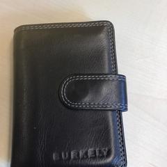 Carteira Van Lent, como reportado por Gemeente Nijmegen utilizando o iLost