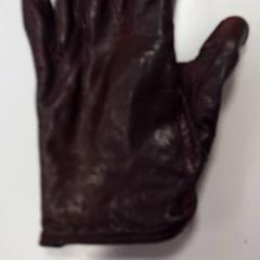 Rękawica Bruin leer, zgłoszono przez Vrije Universiteit Amsterdam przy użyciu iLost