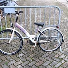 Bike Volare Paars/wit, as reported by Stadswerk072 using iLost