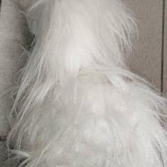 Diversos - speelgoed, segons ha informat Regio Antwerpen - Brussel mitjançant iLost