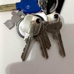 Brelok do kluczy, zgłoszono przez allGo Almere przy użyciu iLost