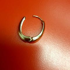 Brinco, como reportado por UvA REC utilizando o iLost