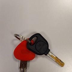 Chave Rood en zwart, como reportado por Vrije Universiteit Amsterdam utilizando o iLost