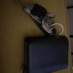 Pasjeshouder Oosterbroek-Belanger en sleutels, gerapporteerd met iLost