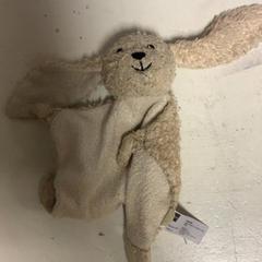 Peluix Konijn, segons ha informat Artis mitjançant iLost