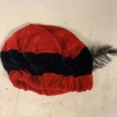 Beanie, som rapportert av Artis ved bruk av iLost