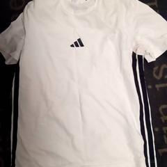 Camisa, segons ha informat Van der Valk Hotel Sneek mitjançant iLost