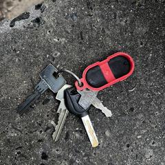 Sleutelbos, as reported to iLost