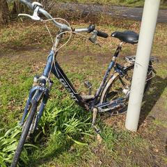 Giant fiets, iLost'a bildirildiği gibi