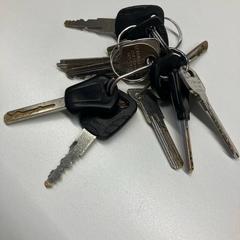 İLost kullanarak Gemeente Rijswijk tarafından bildirildiği gibi Anahtarlar