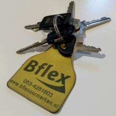 Klíčenka, jak nahlášeno Gemeente Duiven pomocí iLost