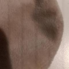 İLost kullanarak De Efteling tarafından bildirildiği gibi Sevimli oyuncak