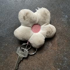 Huissleutel, ako bolo nahlásené iLost